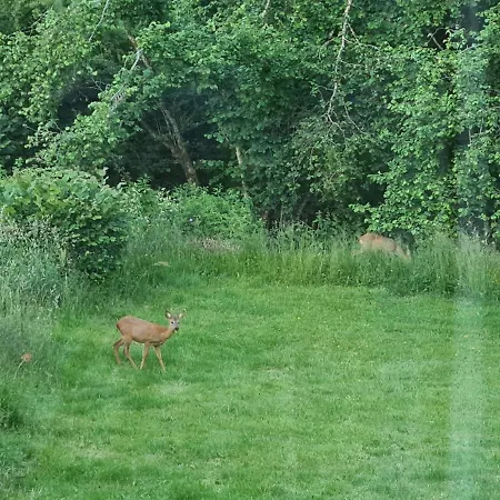 Kwatera prywatna Le Puy D'ance *