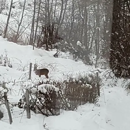 Kwatera prywatna Le Puy D'ance Chastreix